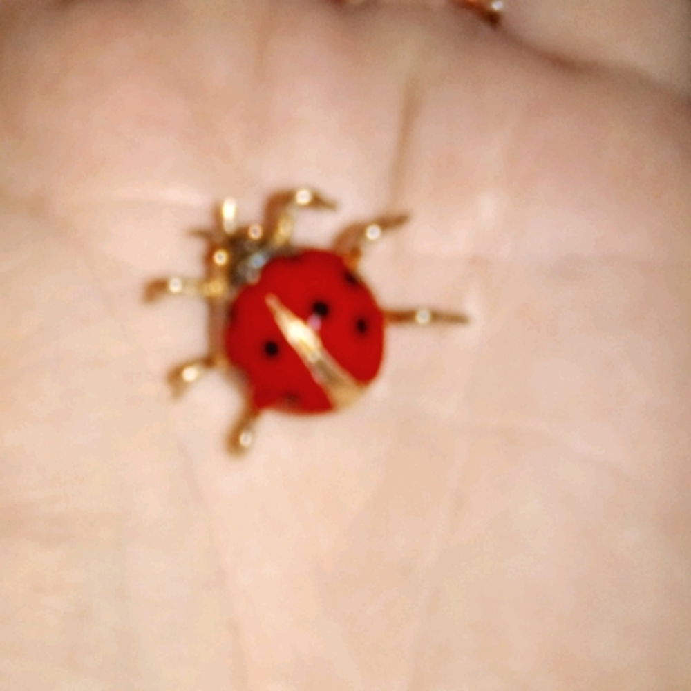 Vintage Signed Korea Ladybug 🐞